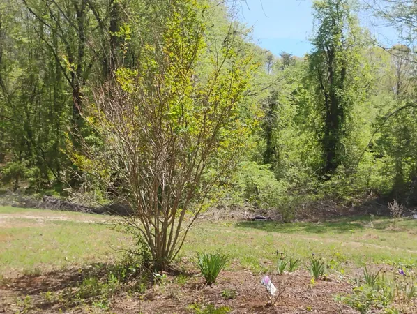 $499,000 | 4183 Tye River Road, Amherst, VA 24521
