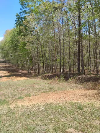 $499,000 | 4183 Tye River Road, Amherst, VA 24521