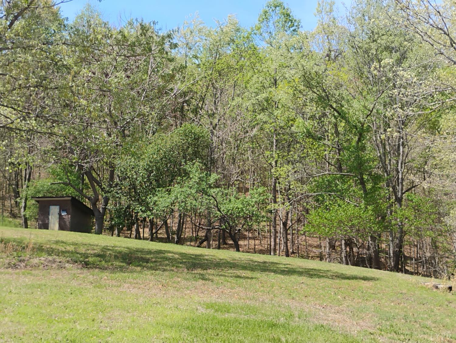 4183 Tye River Road Amherst, VA 24521 - Photo 53 of 67