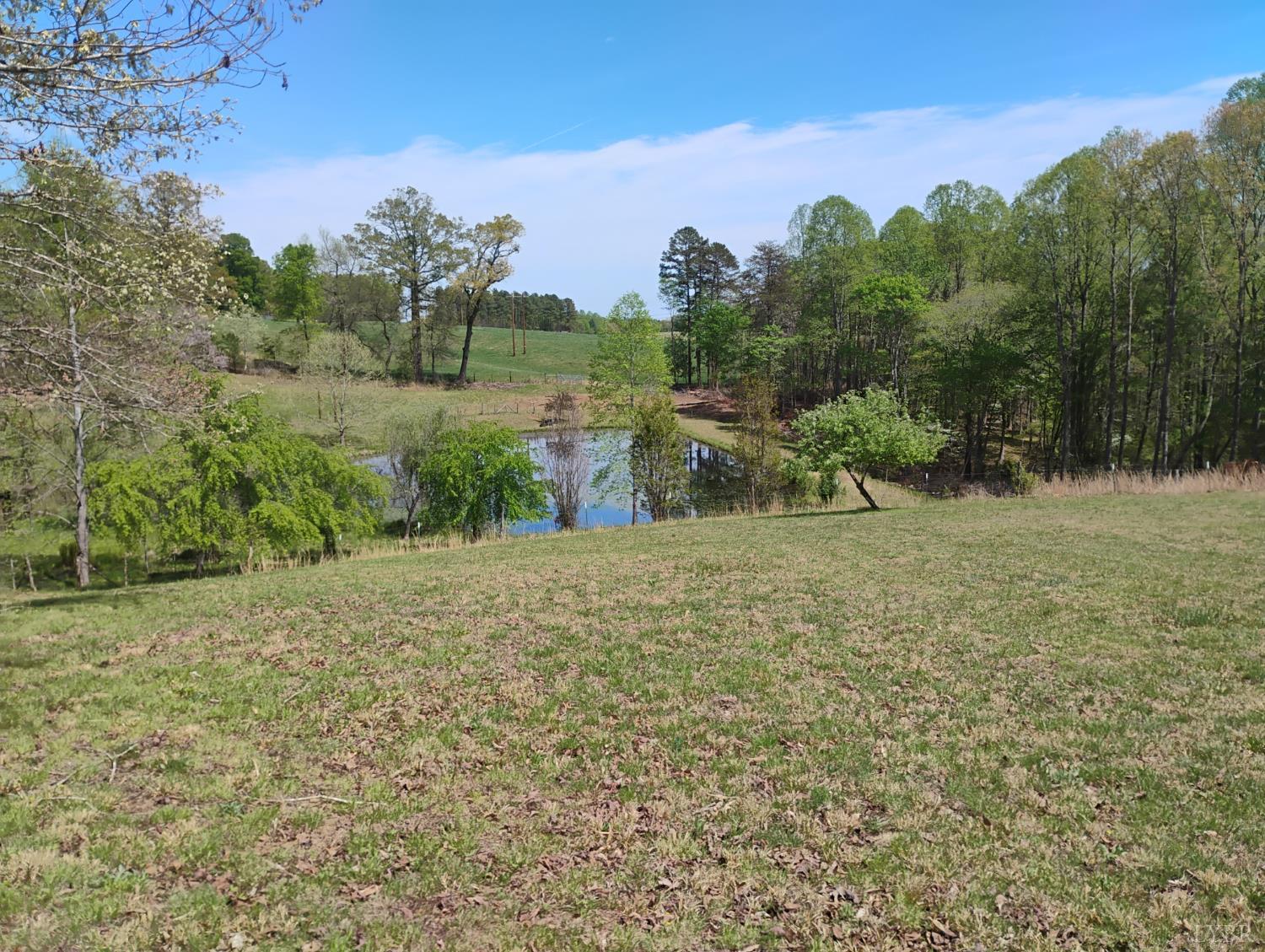4183 Tye River Road Amherst, VA 24521 - Photo 64 of 67 a view of a field with trees in the background
