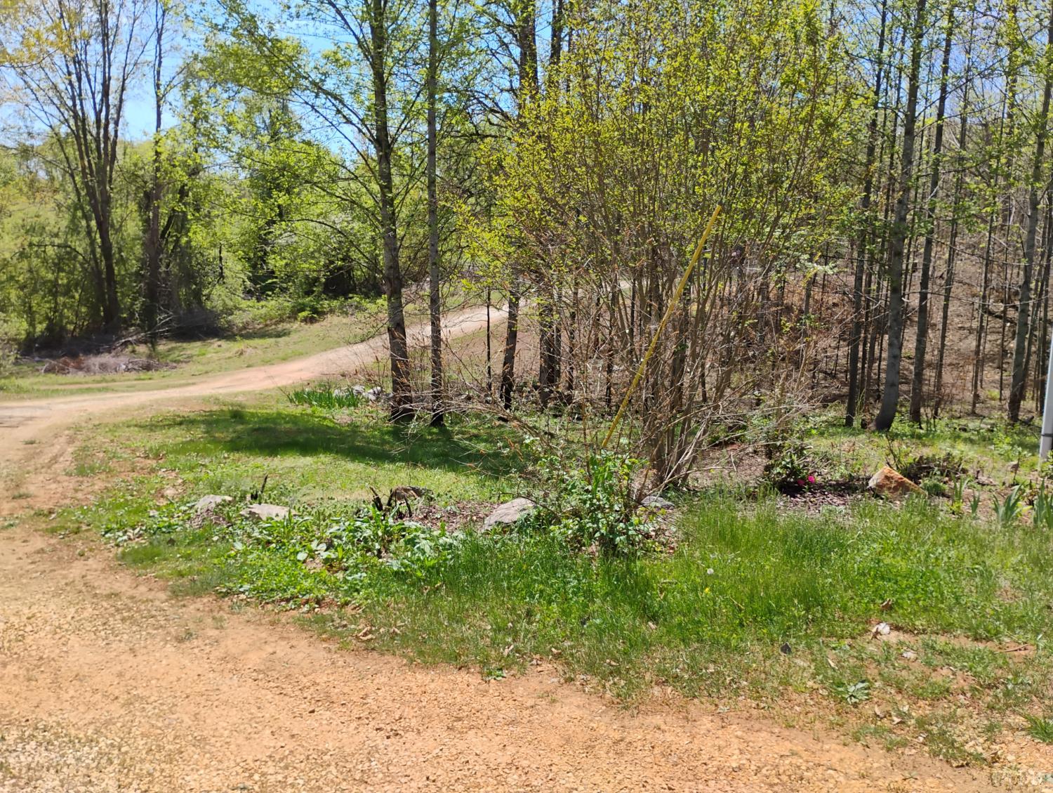 4183 Tye River Road Amherst, VA 24521 - Photo 66 of 67 a view of backyard with green space