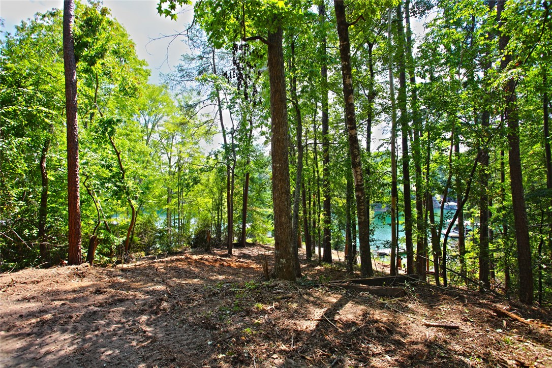 590 Old Chapman Bridge Road Salem, SC 29676 - Photo 33 of 43 Mature trees frame a quiet wooded path leading down to the water.