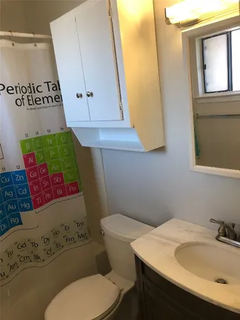 a bathroom with a sink and a toilet