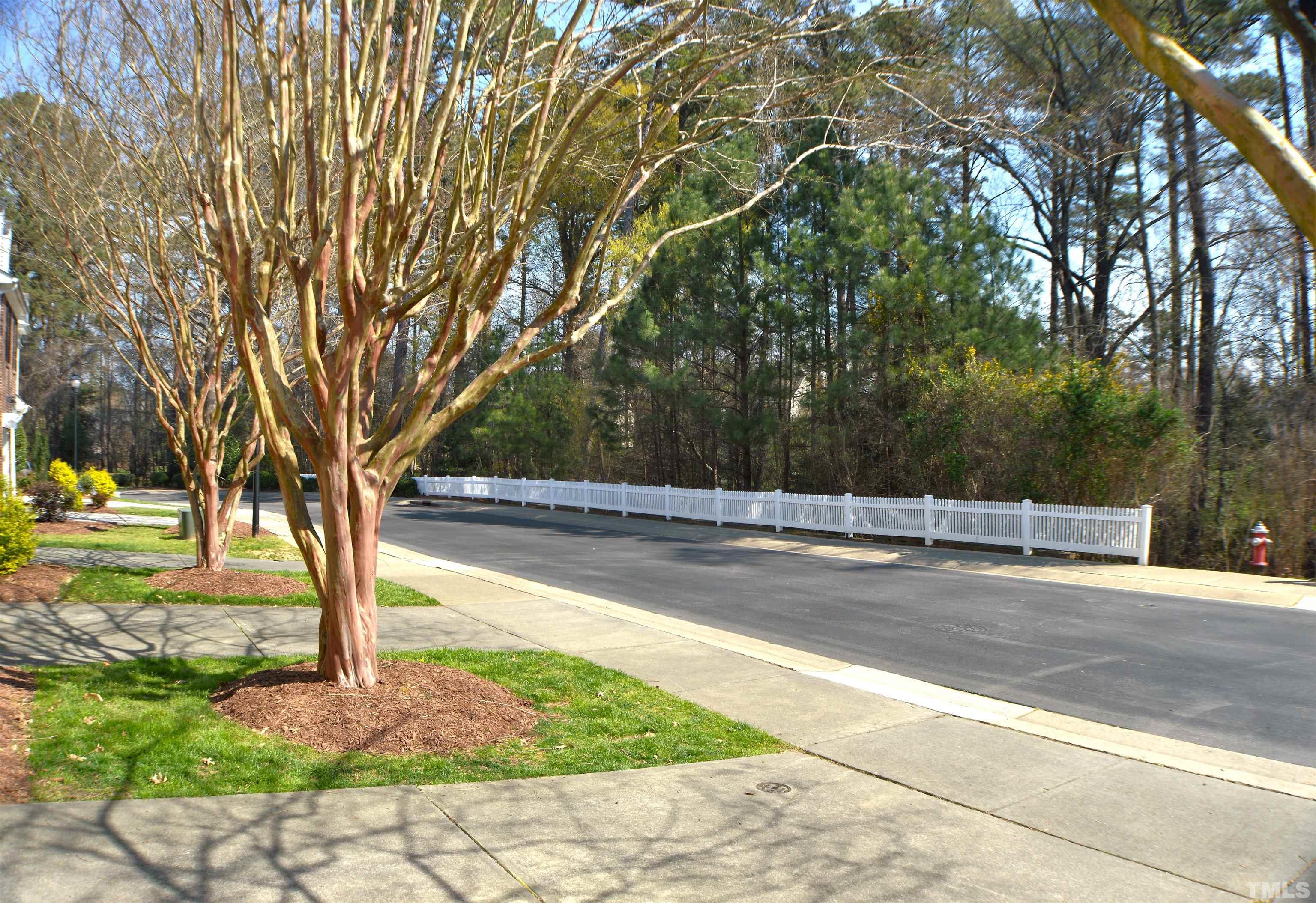 3137 Winding Waters Way Raleigh, NC 27614 - Photo 3 of 54 a view of backyard with tree