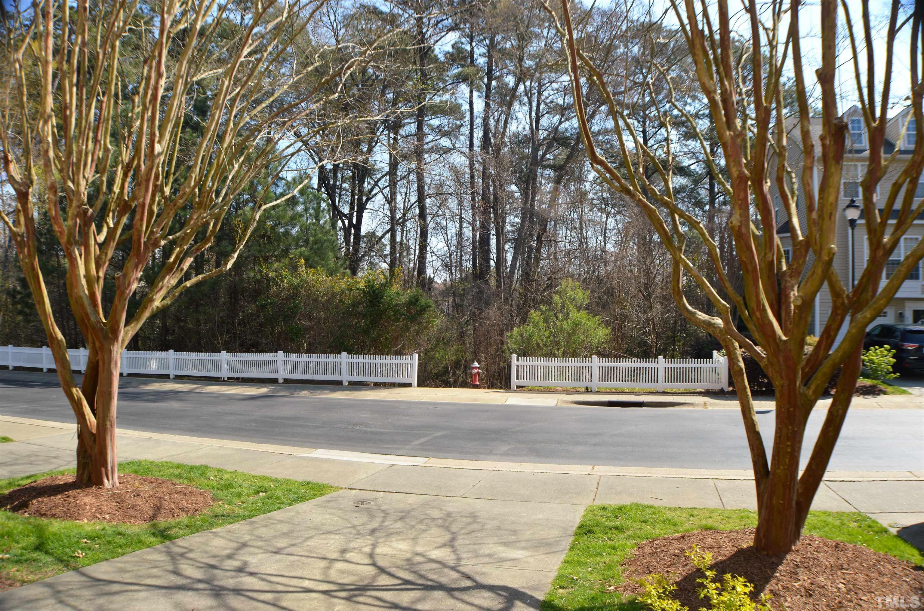 3137 Winding Waters Way Raleigh, NC 27614 - Photo 4 of 54