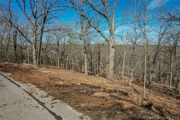 $40,000 | Lot 30 Craftsman Drive, Camdenton, MO 65020