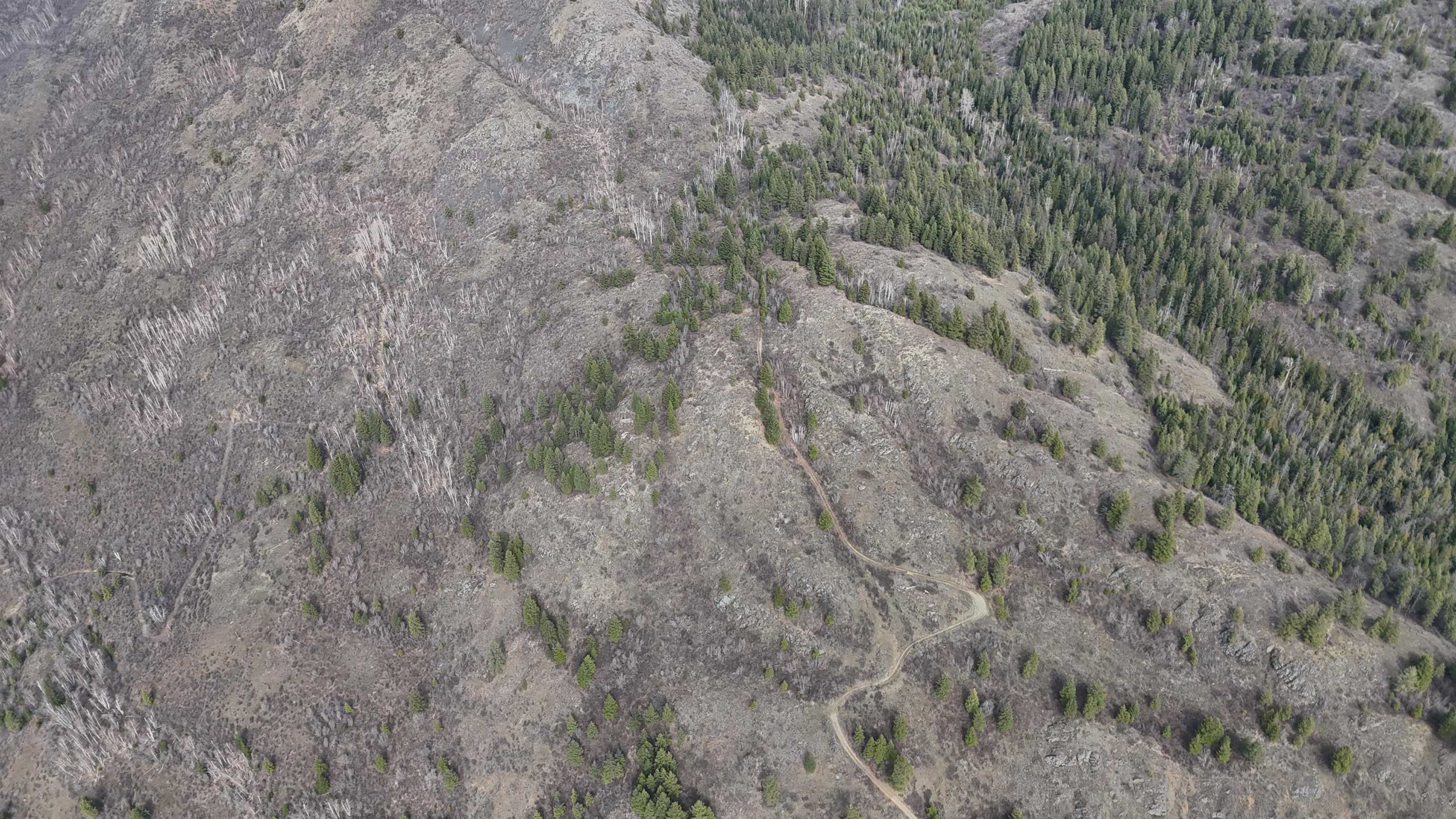 Nka North Nka N Leclerc Road Ione, WA 99139 - Photo 19 of 43