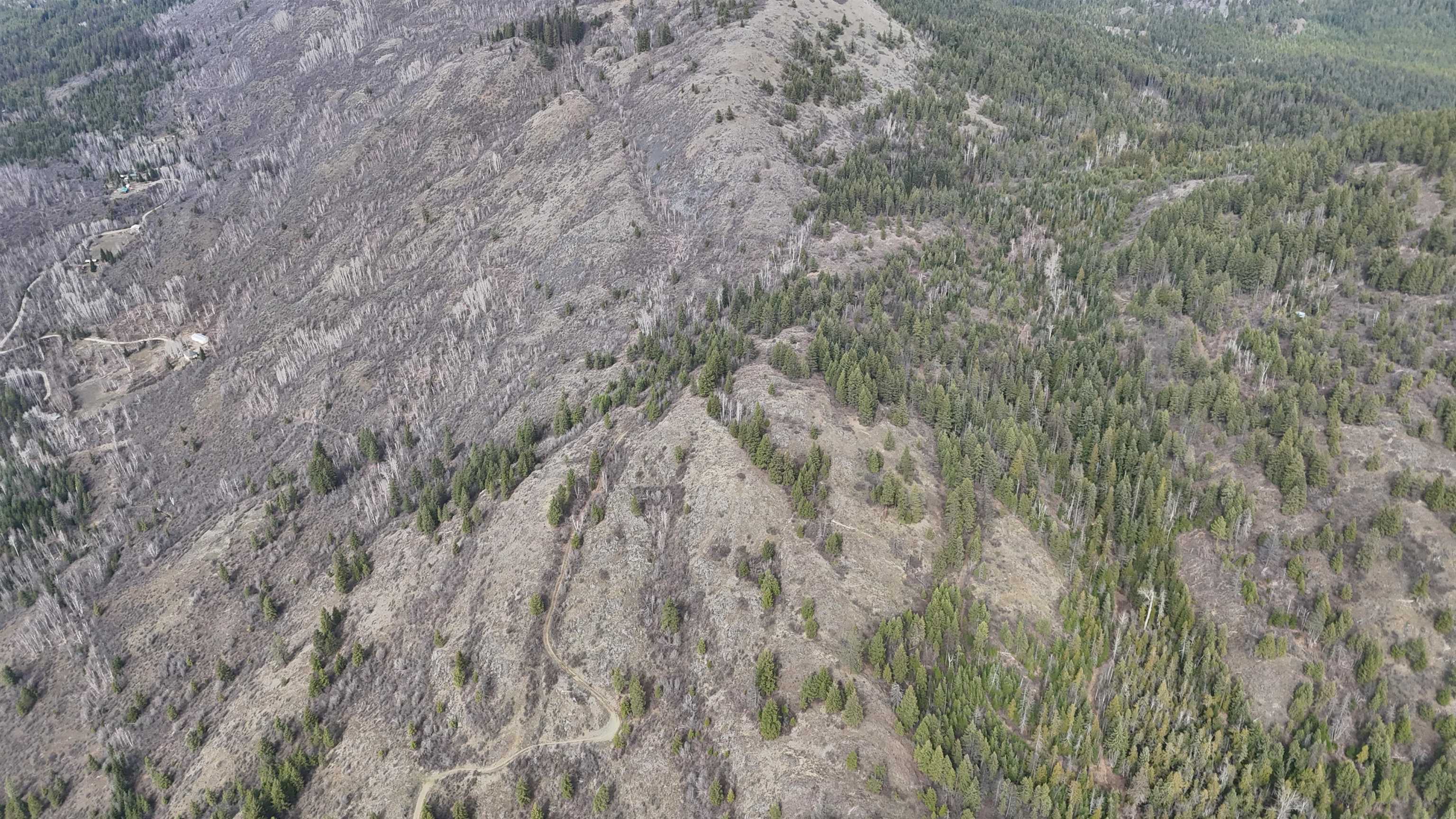 Nka North Nka N Leclerc Road Ione, WA 99139 - Photo 20 of 43