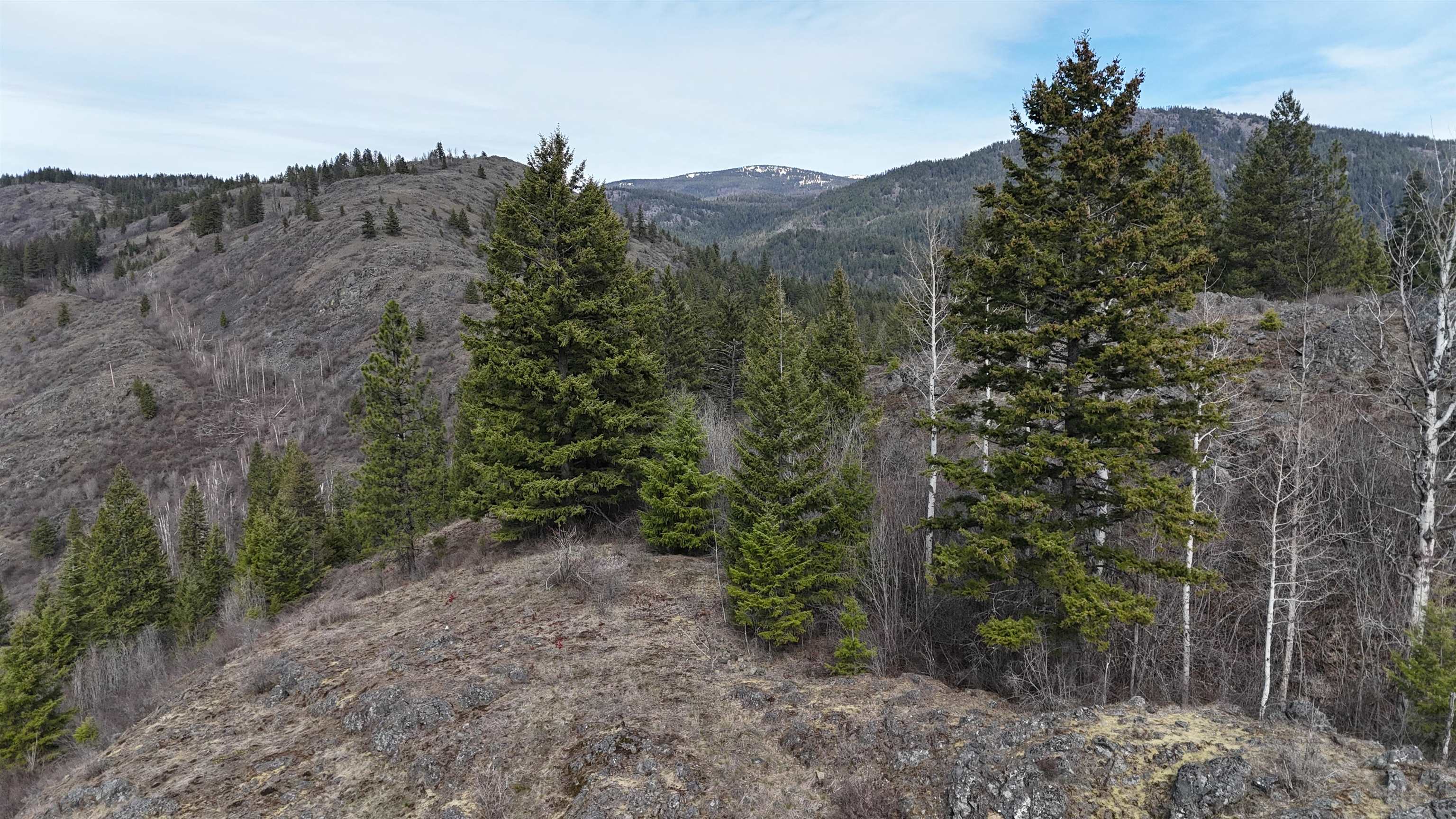 Nka North Nka N Leclerc Road Ione, WA 99139 - Photo 24 of 43