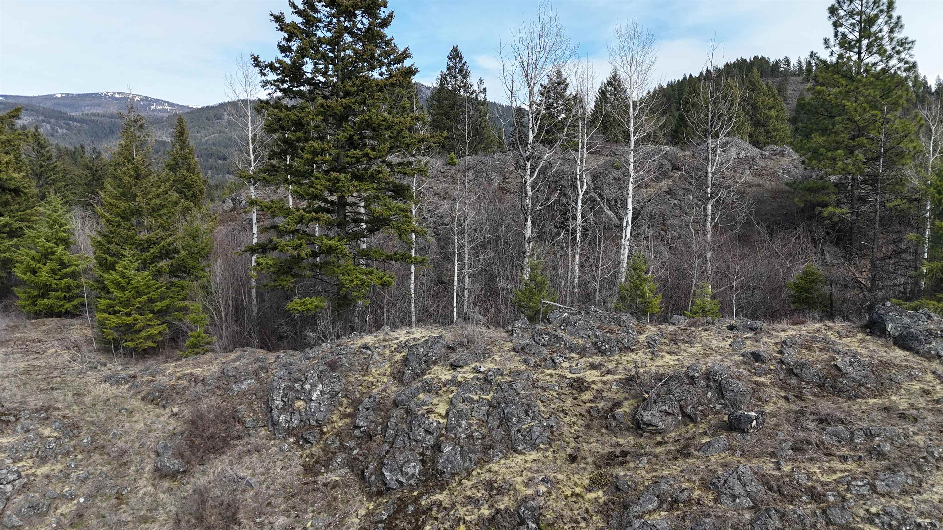 Nka North Nka N Leclerc Road Ione, WA 99139 - Photo 25 of 43