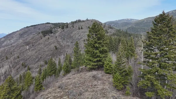 $50,000 | Nka North Nka N Leclerc Road, Ione, WA 99139