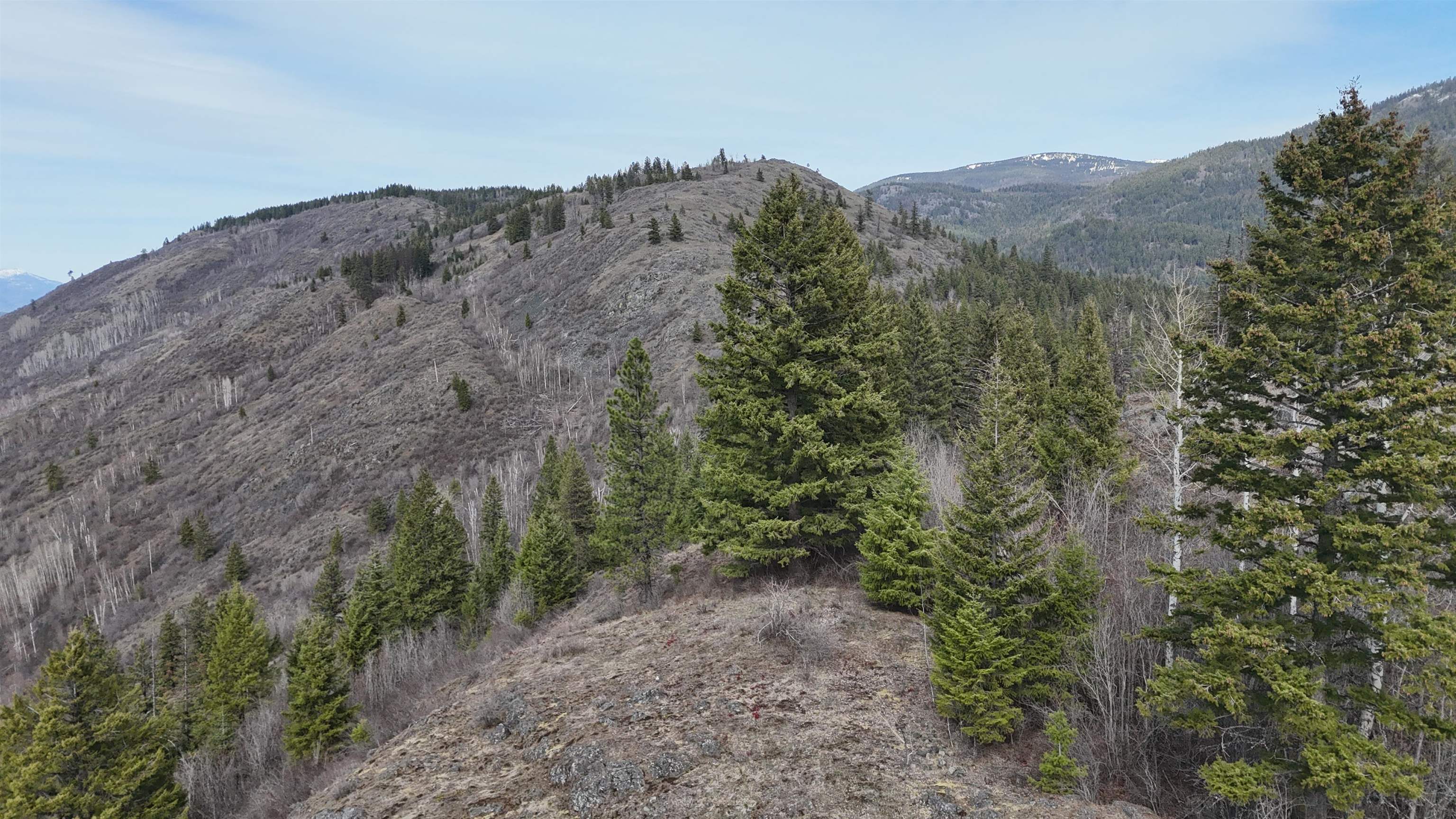 Nka North Nka N Leclerc Road Ione, WA 99139 - Photo 29 of 43