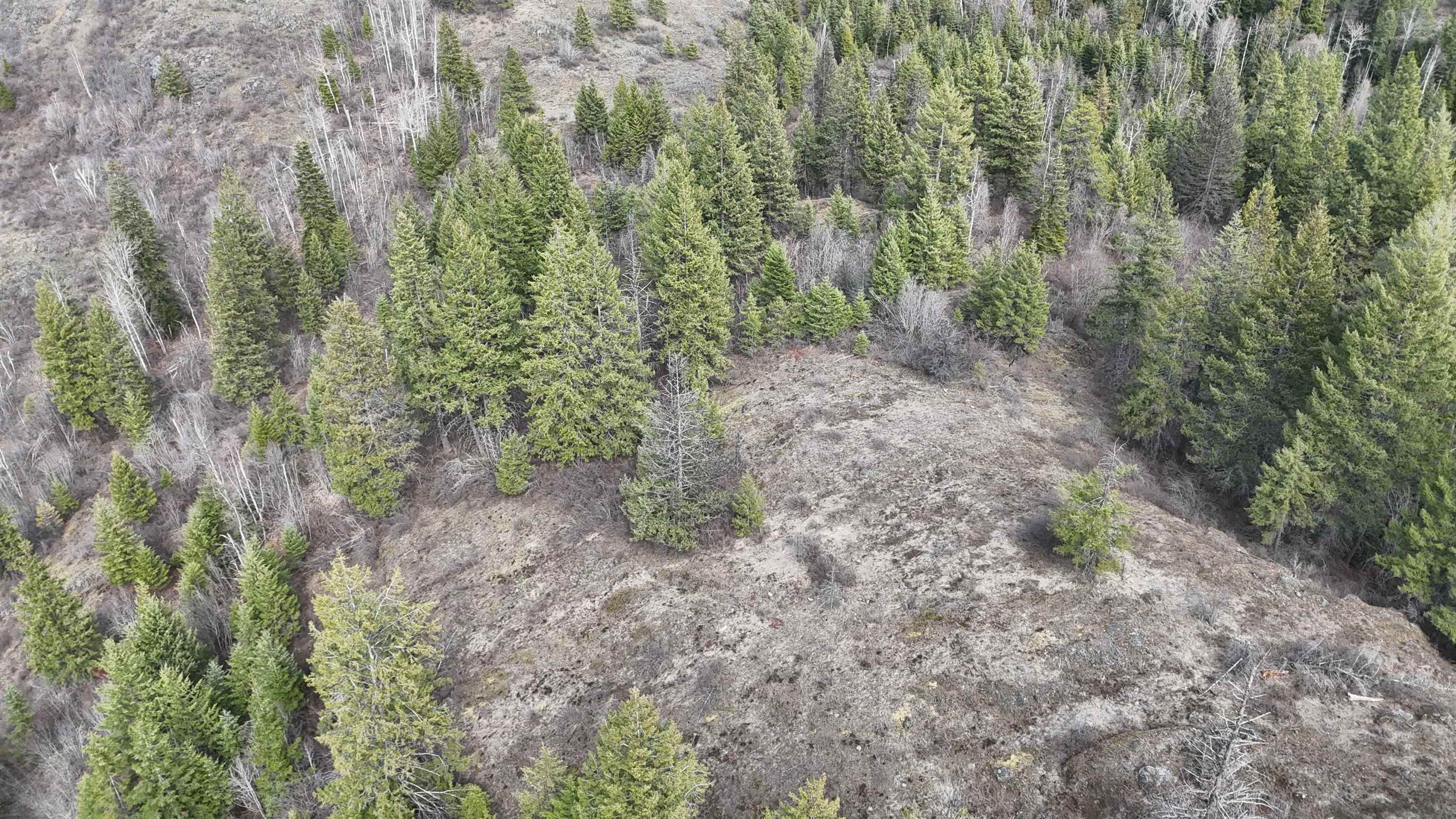 Nka North Nka N Leclerc Road Ione, WA 99139 - Photo 31 of 43