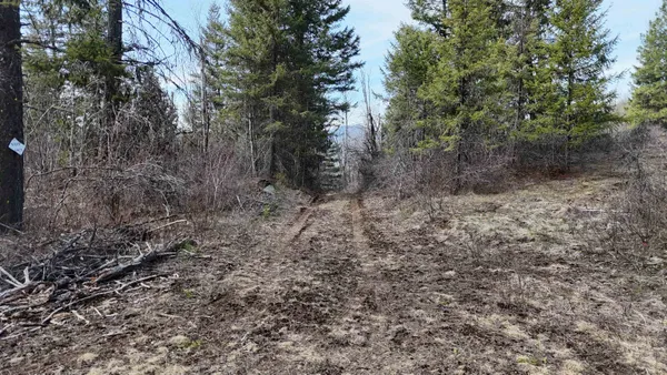 $50,000 | Nka North Nka N Leclerc Road, Ione, WA 99139