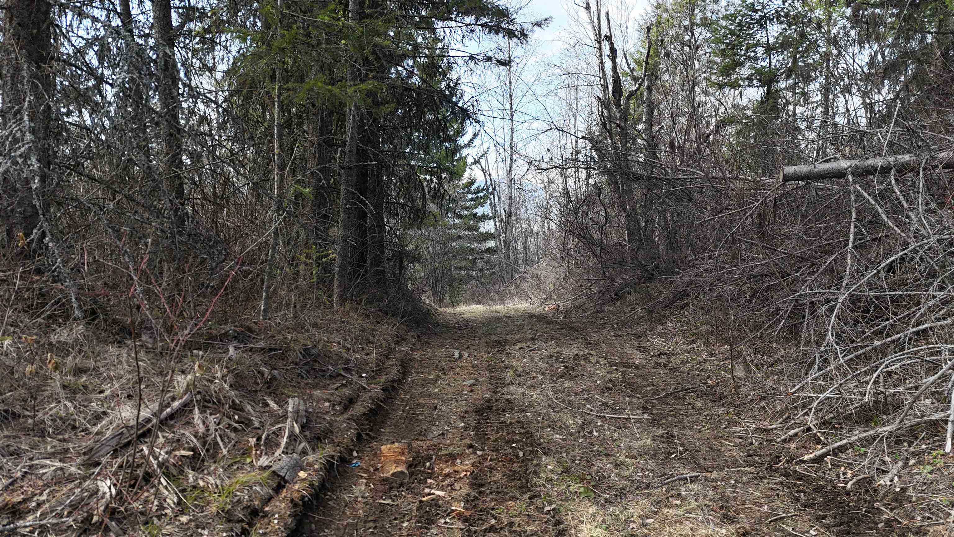 Nka North Nka N Leclerc Road Ione, WA 99139 - Photo 33 of 43