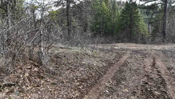 $50,000 | Nka North Nka N Leclerc Road, Ione, WA 99139