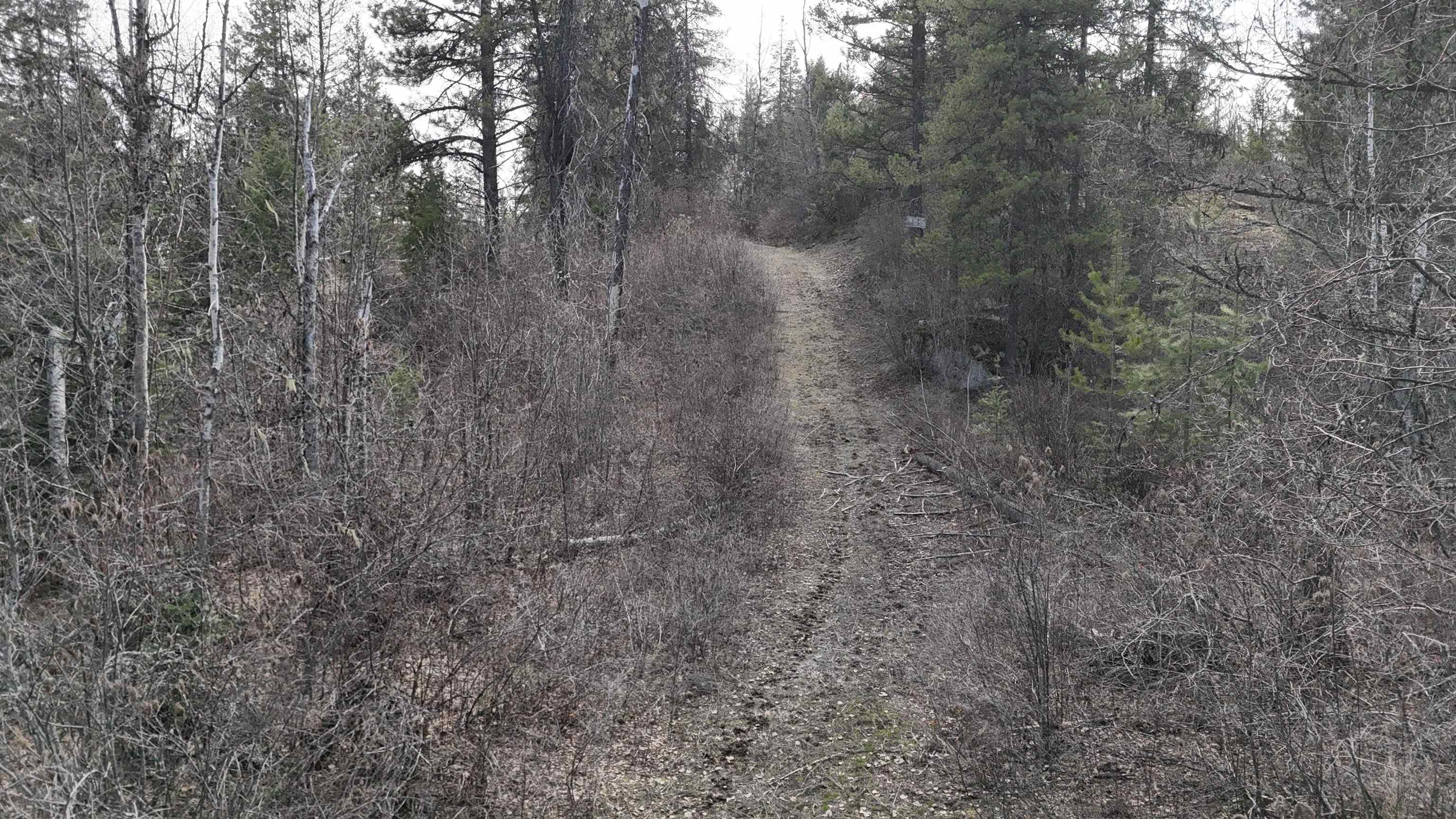 Nka North Nka N Leclerc Road Ione, WA 99139 - Photo 35 of 43