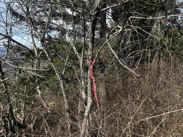 $50,000 | Nka North Nka N Leclerc Road, Ione, WA 99139