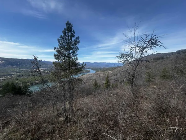 $50,000 | Nka North Nka N Leclerc Road, Ione, WA 99139