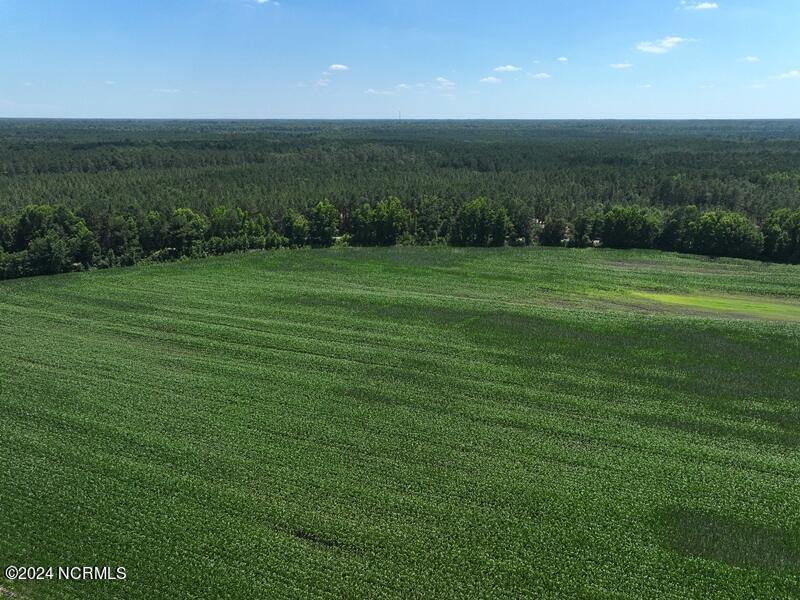 Tbd Natmore Road Kelly, NC 28448 - Photo 5 of 16 dji_fly_20240615_151238_0064_17184919389