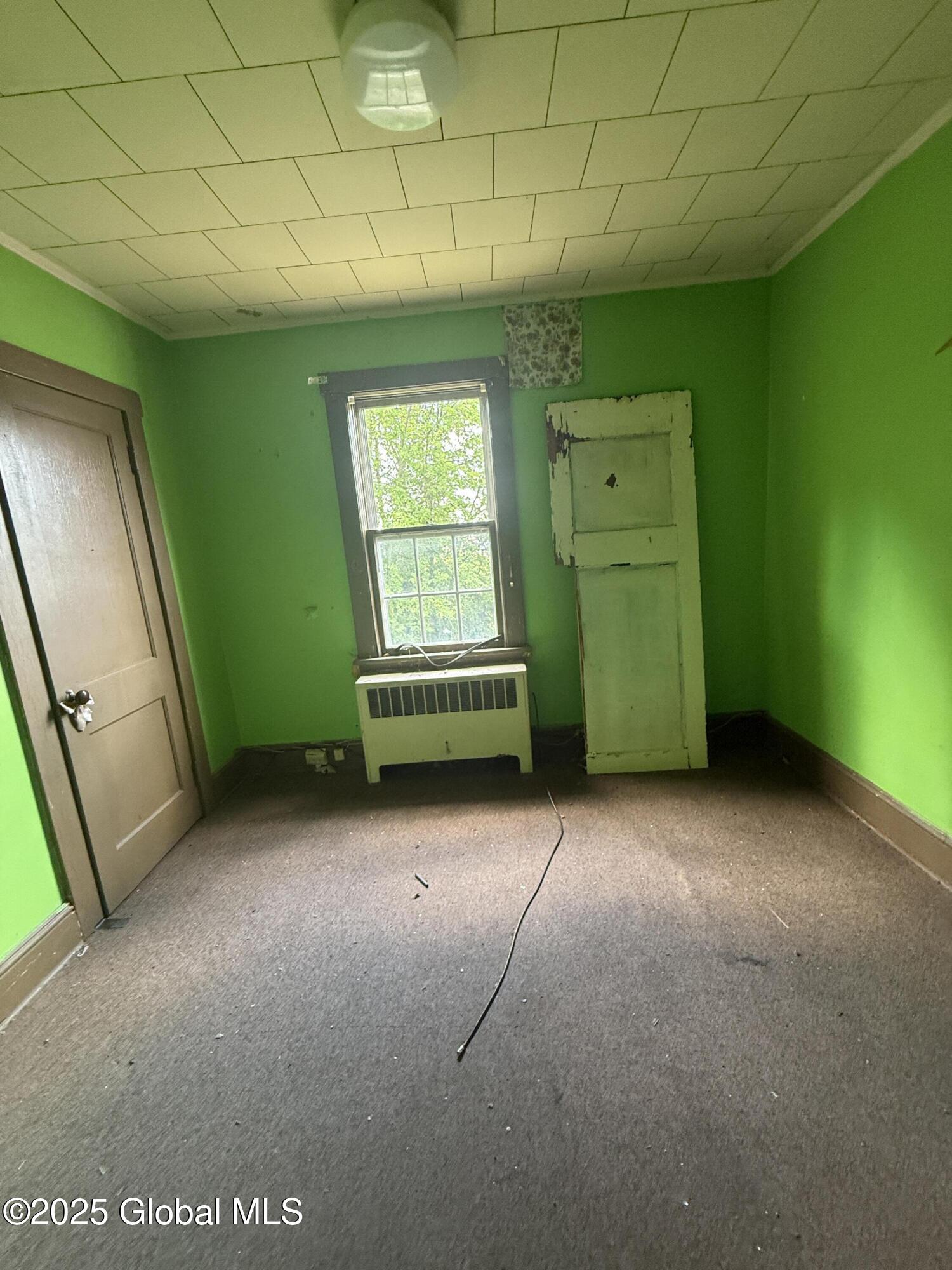 326 Main Street Cairo, NY 12413 - Photo 15 of 27 IMG_5659 2