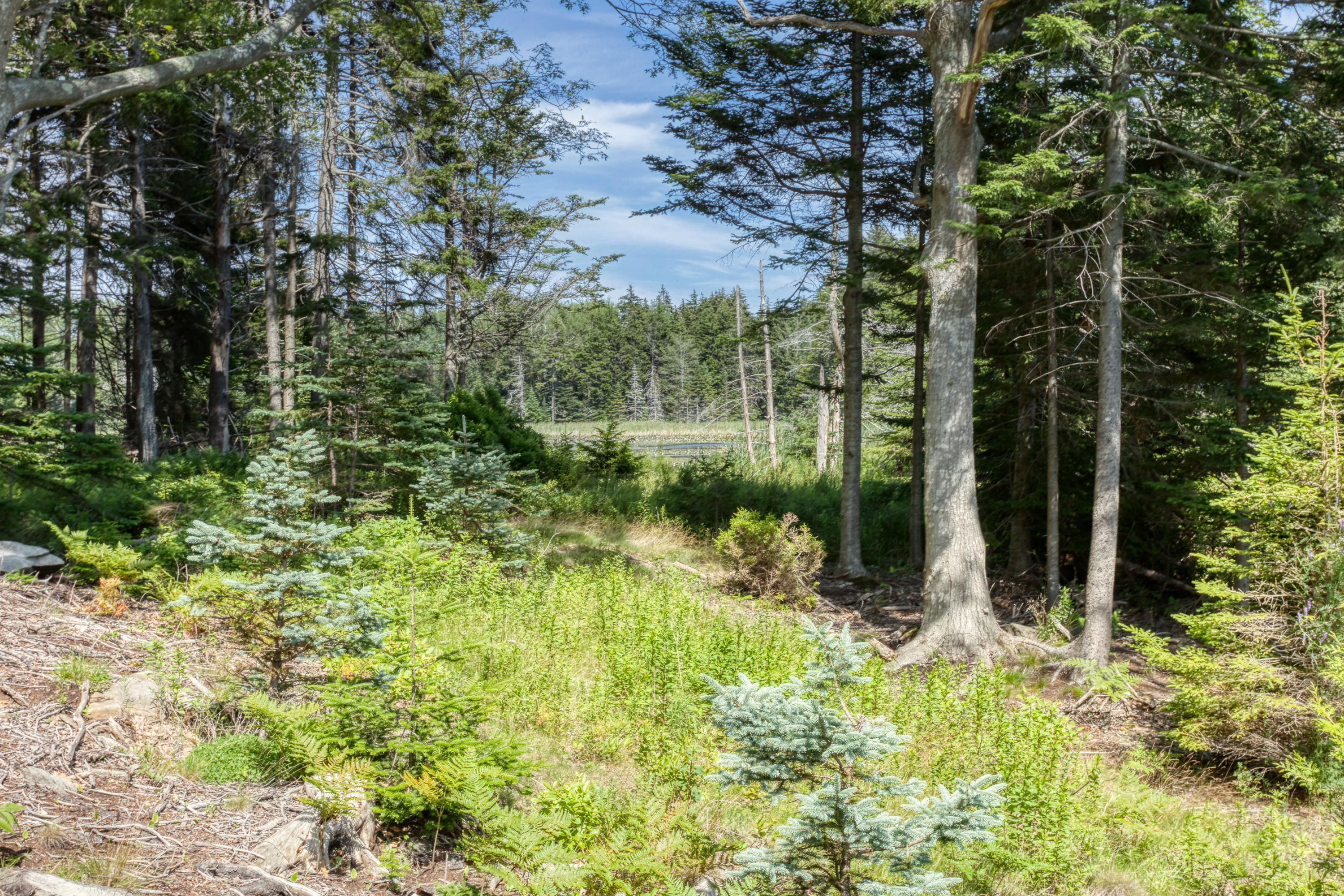 225 Shore Road East Boothbay, ME 04544 - Photo 25 of 28 25