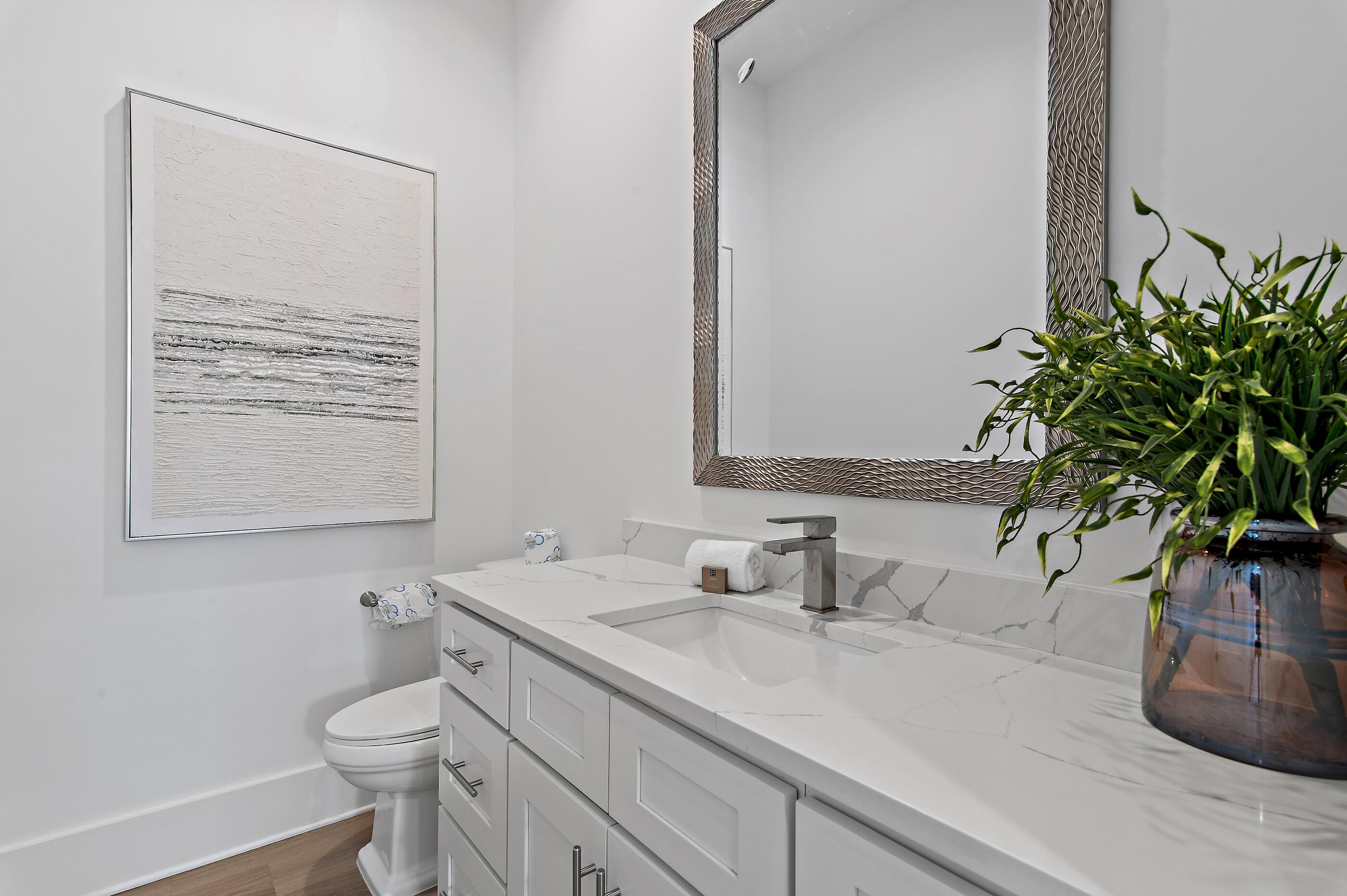 217 Snowdrift Road Miramar Beach, FL 32550 - Photo 30 of 66 a bathroom with a potted plant on the sink and a mirror