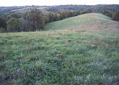 3675 Golds Vly Road Dry Ridge, KY 41035 - Photo 2 of 8