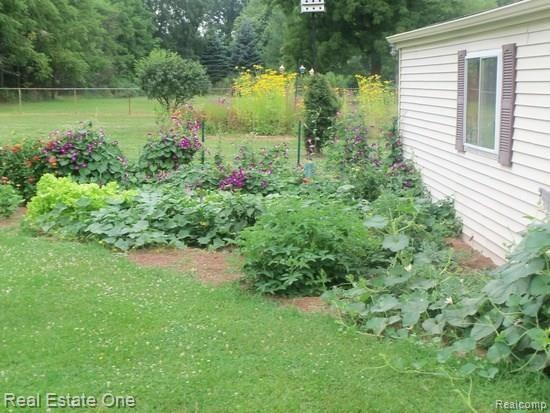 52815 Twelve Mile Road Wixom, MI 48393 - Photo 6 of 22