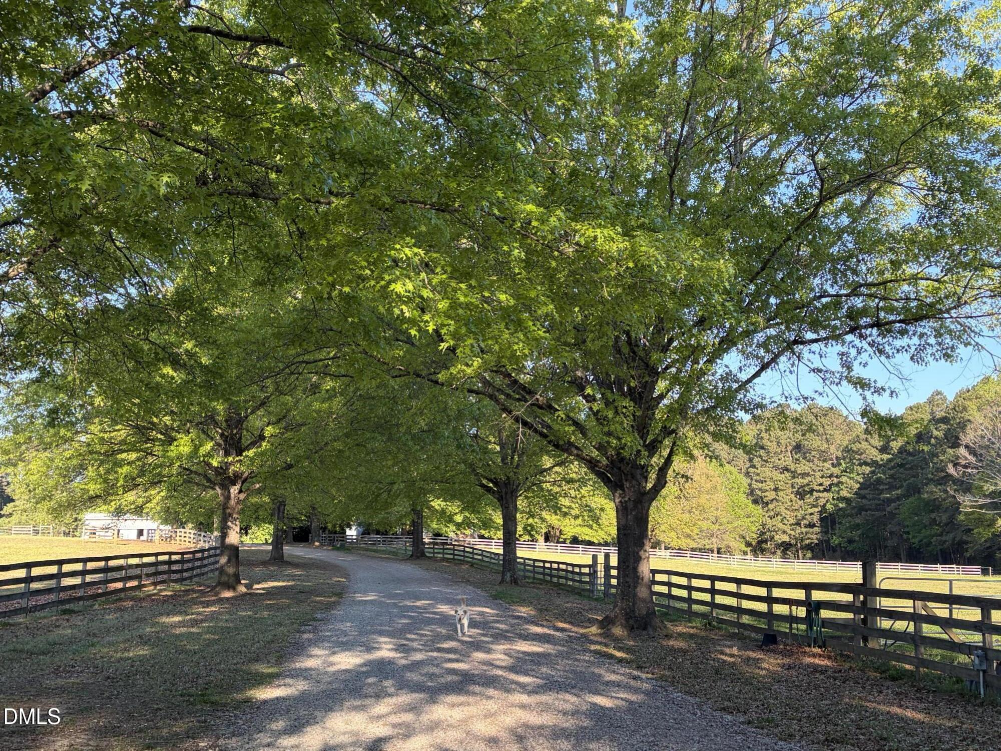 220 Jordan Narron Road Selma, NC 27576 - Photo 4 of 87 a view of a street with large trees