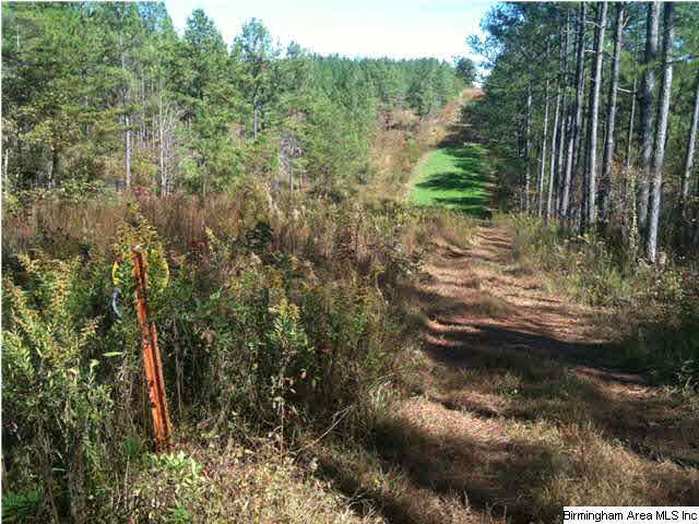 Bishop Ridge, Unit 150 McCalla, AL 35111 - Photo 10 of 10