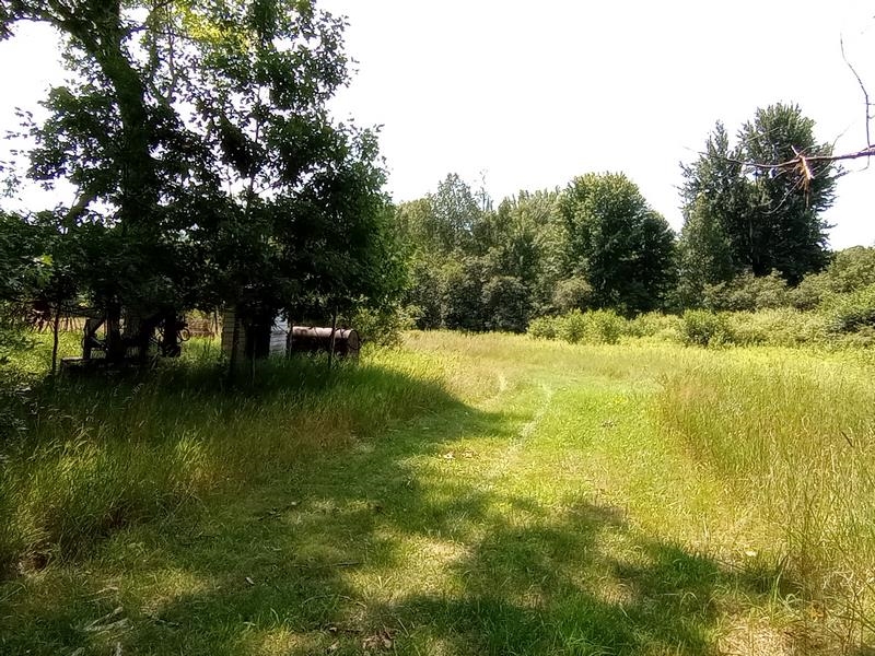 1305 Wieman Road Gladwin, MI 48624 - Photo 28 of 33