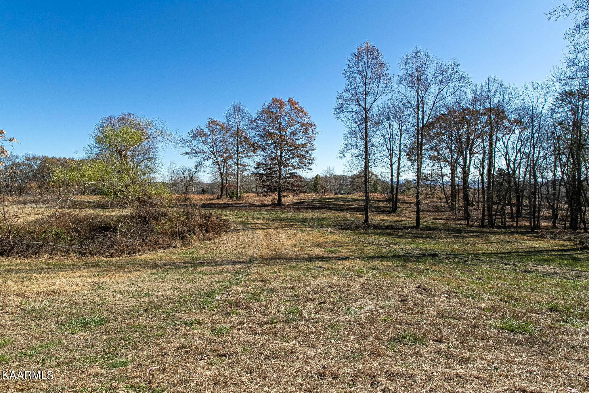 2092 New Corinth Road Rutledge, TN 37861 - Photo 31 of 45 7829D2FD-40B2-46E4-B203-8FE877E6EADB