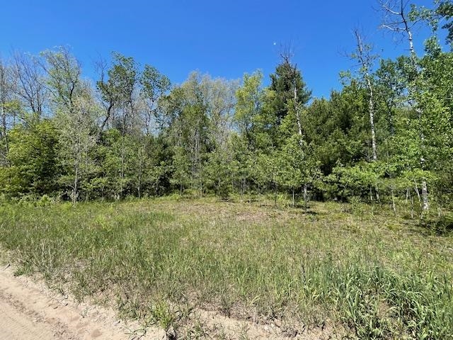 0 Aylsworth Road Beulah, MI 49617 - Photo 4 of 7