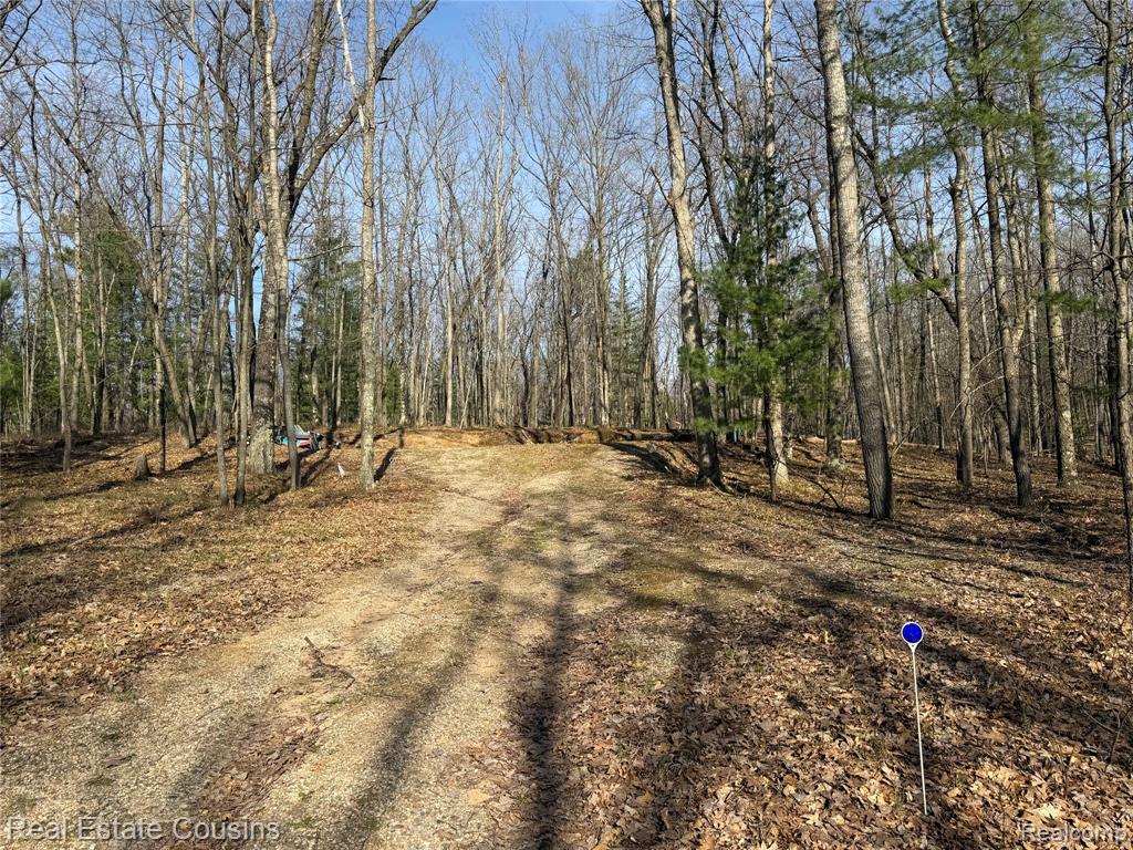 4701 Lake Road Farwell, MI 48622 - Photo 2 of 24