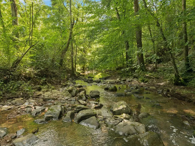 $549,900 | 4215 Hampshire Pike, Hampshire, TN 38461