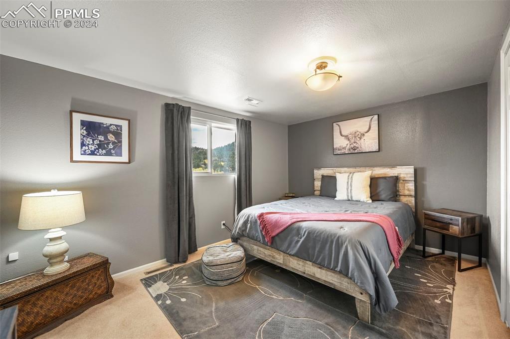 608 Slater Creek Road Guffey, CO 80820 - Photo 21 of 47 a bedroom with a bed and a lamp