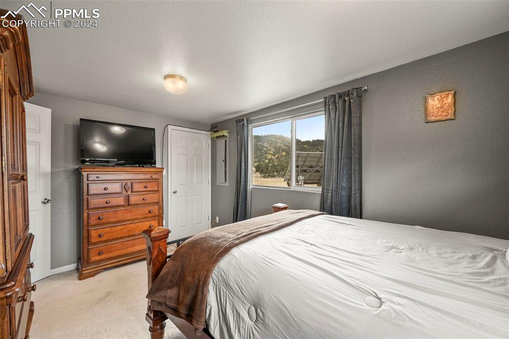 608 Slater Creek Road Guffey, CO 80820 - Photo 26 of 47 a bedroom with a bed and a flat screen tv