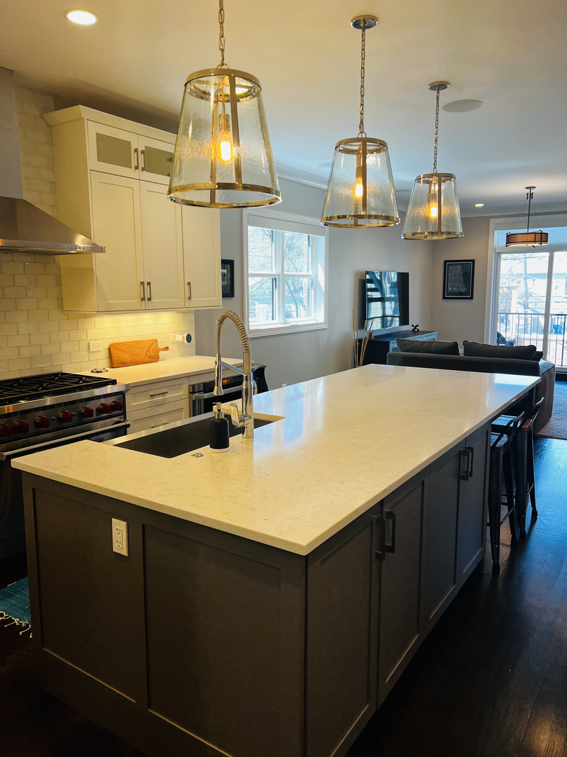2946 North Racine Avenue, Unit 2 Chicago, IL 60657 - Photo 4 of 17 a kitchen with stainless steel appliances a sink a stove a refrigerator a center island and wooden floor