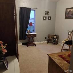 16600 State Rte 4 Campbell Hill, IL 62916 - Photo 19 of 27