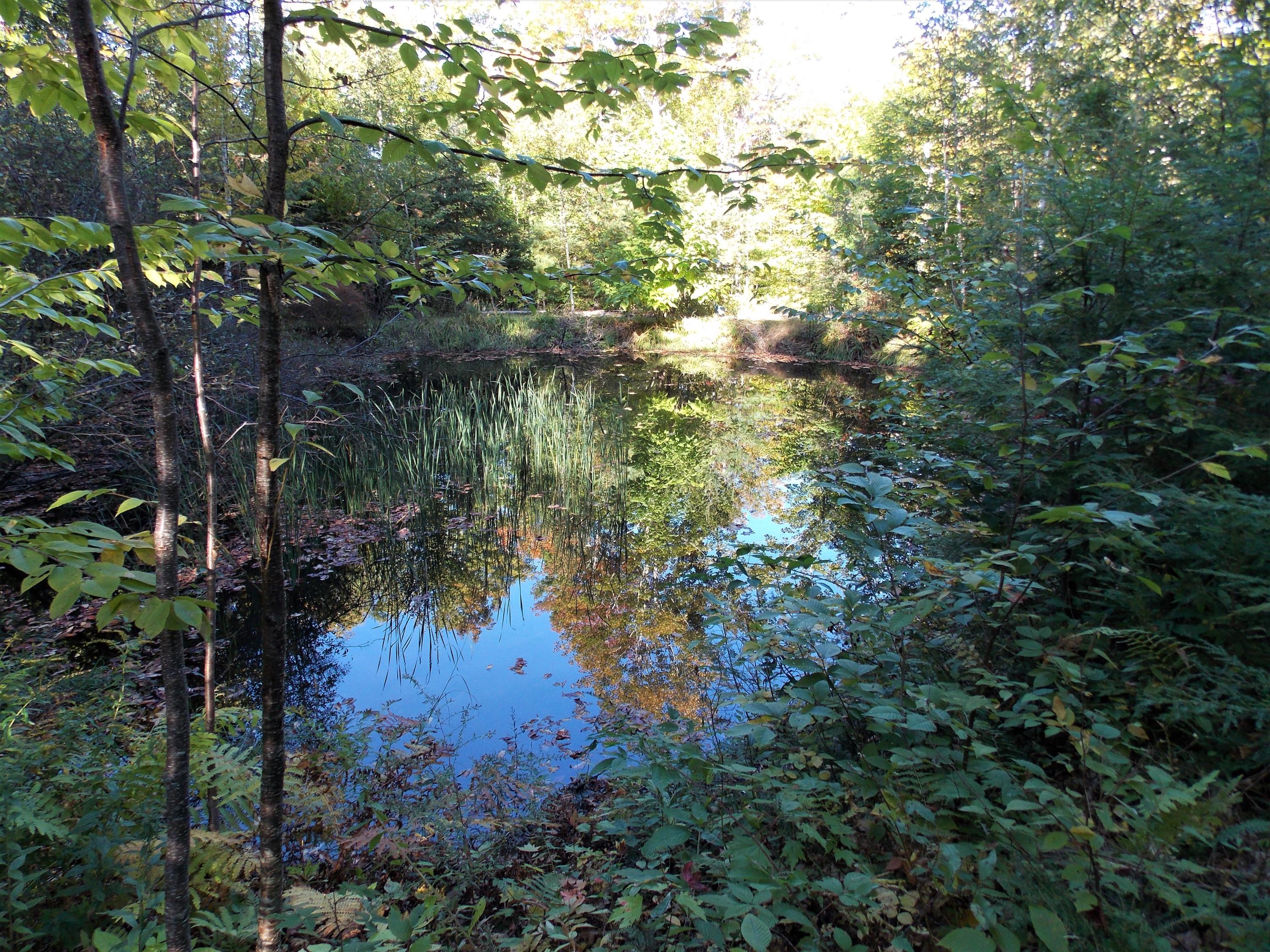 399 Number 10 Road Dexter, ME 04930 - Photo 47 of 64 DSCN3316
