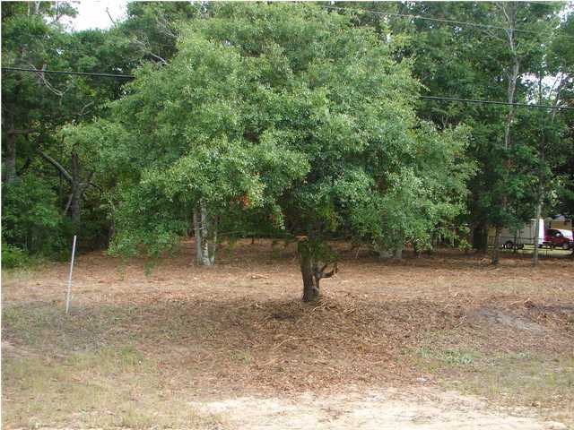 3 State Road Freeport, FL 32439 - Photo 4 of 15 Gallery Image 4