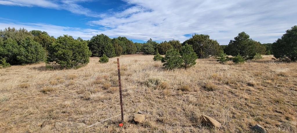 Lot 34 Silver Spur Road Walsenburg, CO 81089 - Photo 26 of 43