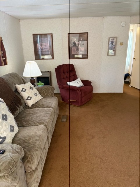 18 Tarheel Lane Iva, SC 29655 - Photo 7 of 17 This cozy living room features soft carpeting and ample space for relaxation.