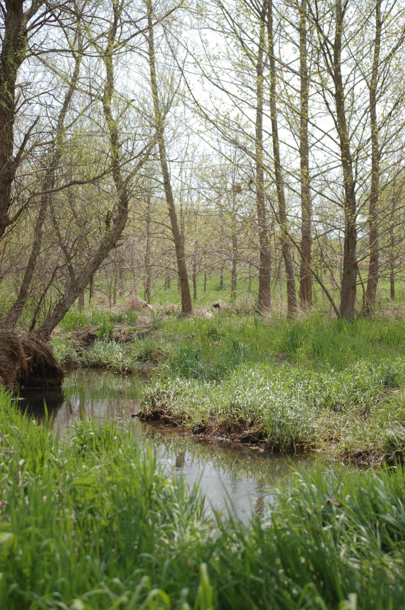 0 Rosedale-plain Rosedale-Plain City Road, Unit TRACT 1 Irwin, OH 43029 - Photo 7 of 28 Gorgeous, natural creek behind lined with hardwood trees...