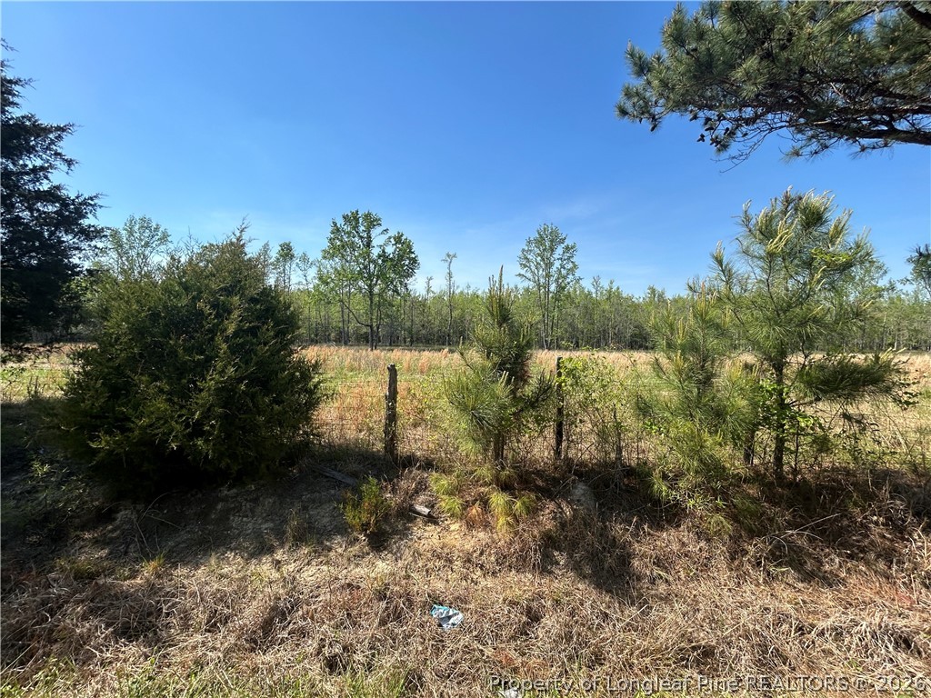 3806 McBryde Road Linden, NC 28356 - Photo 7 of 8 Across the street view