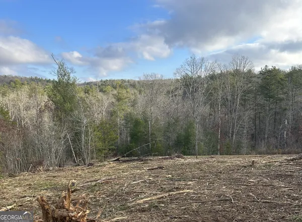 $52,900 | Lt37 Blue Creek Road, Morganton, GA 30560