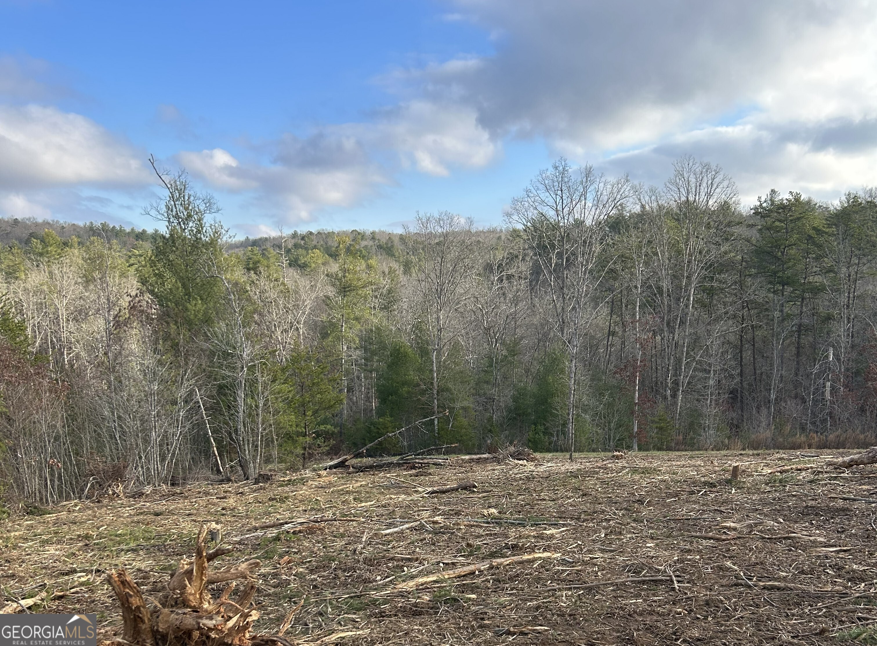 a view of a yard with trees in the background