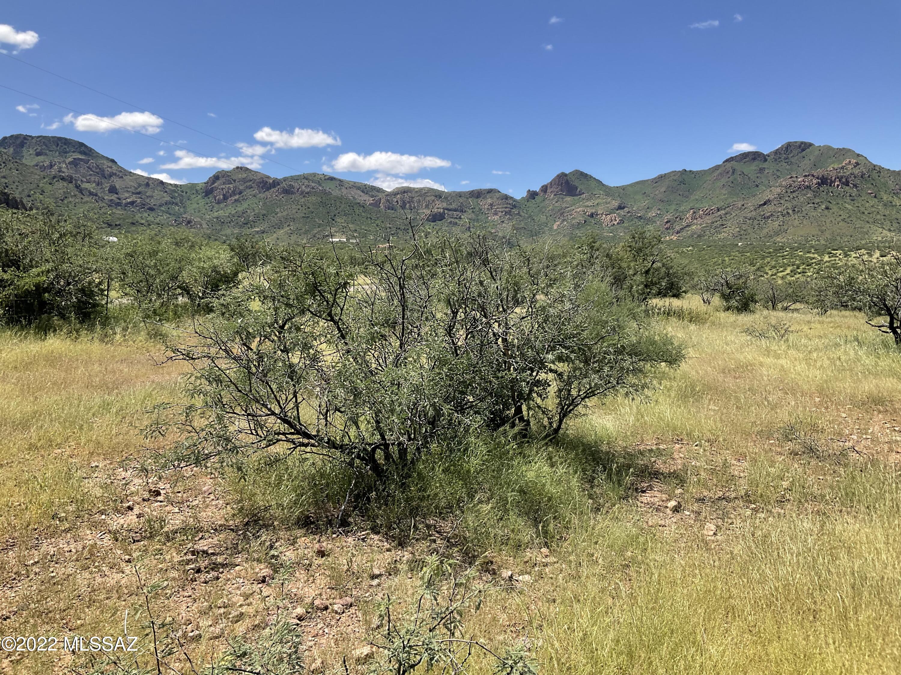 Tbd Aliso Springs Road Tubac, AZ 85646 - Photo 11 of 15