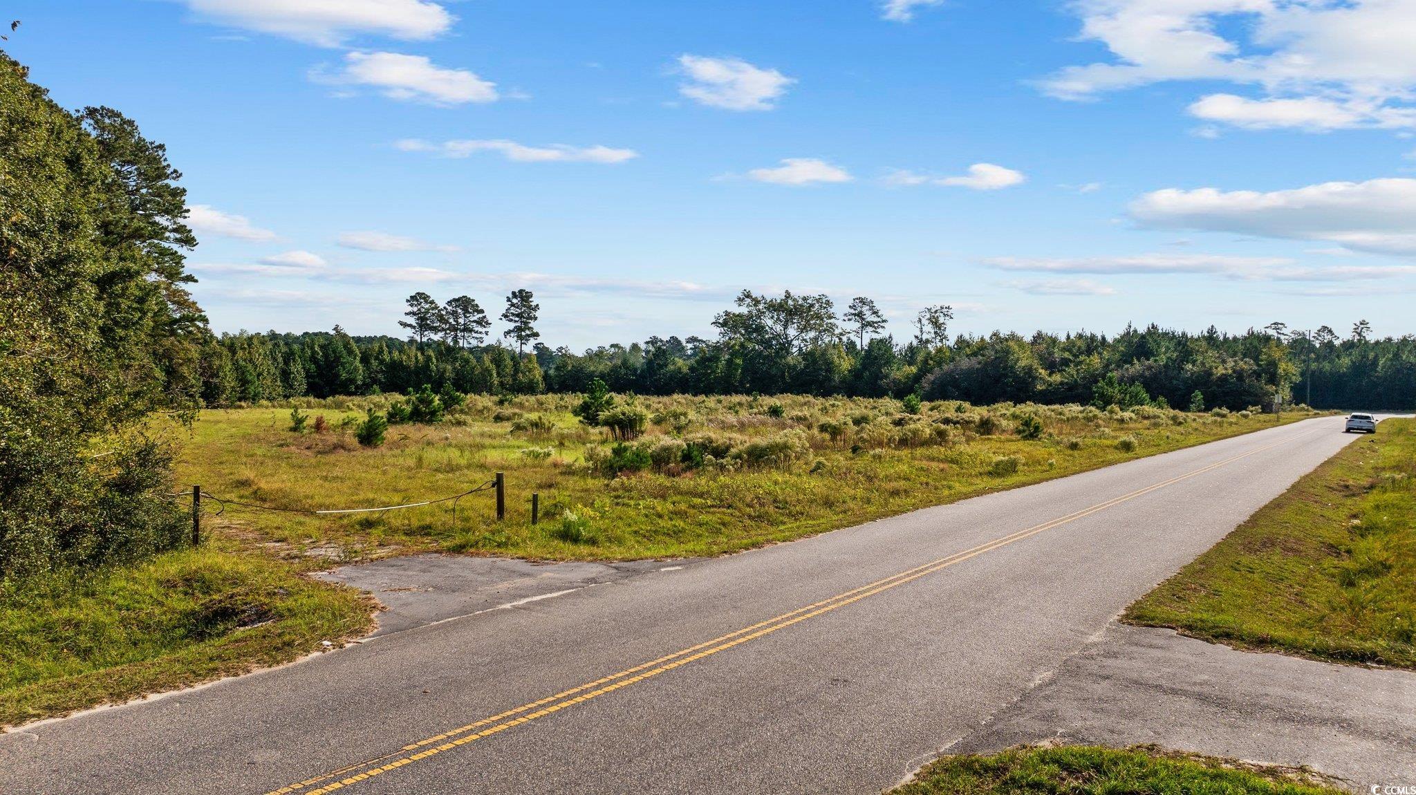 Tbd Old Reaves Ferry Road Conway, SC 29526 - Photo 11 of 33 Gallery Image 11
